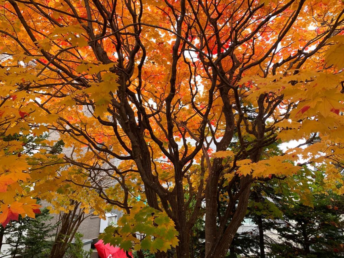 Hdo Sumikawa Villa ซัปโปโร ภายนอก รูปภาพ